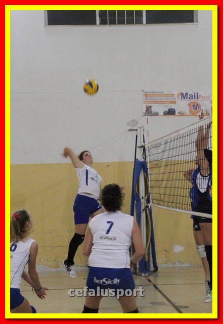 140305 Primula 088_tn.jpg